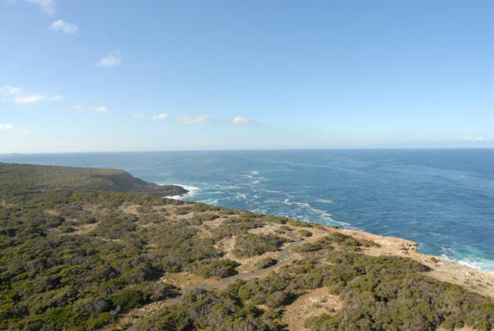 Cape Nelson Lighthouse Villa Портланд Екстериор снимка